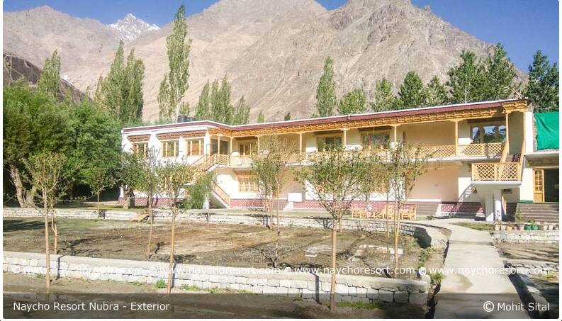 Naycho Resort, Nubra valley 2